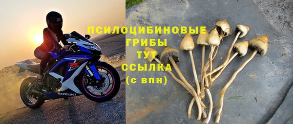 твердый Магадан