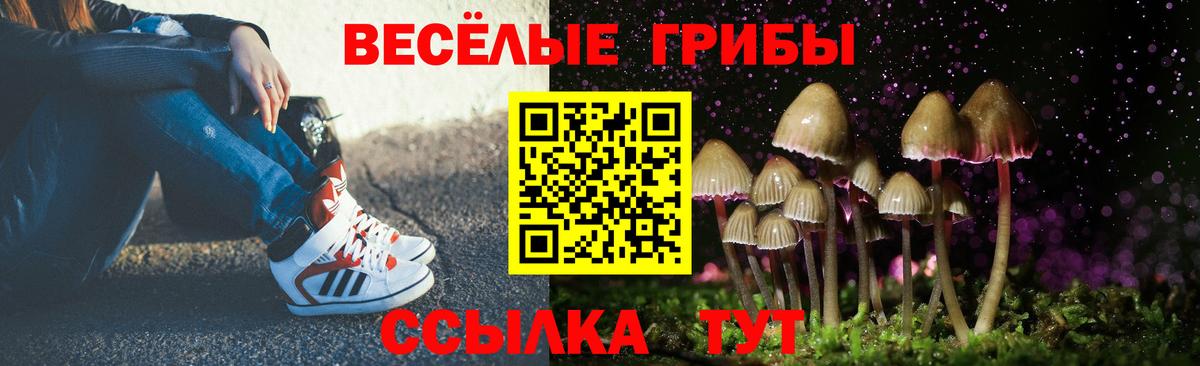 Учалы  Псилоцибиновые грибы Psilocybe  Вход с VPN  Галлюциногенные грибы Magic Shrooms 
