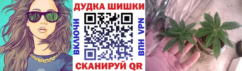 нарко площадка формула  Учалы  Канабис SATIVA & INDICA 